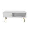 ZIZEL COFFEE TABLE 1ΠΟΡΤΑ ΛΕΥΚΟ ΜΕ PATTERN ΧΡΥΣΟ 100x50x42cm