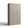 Three-leaf Wardrobe with 2 Drawers 111x48xH187cm