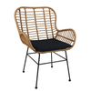 Καρέκλα Κήπου ABUDIUS Φυσικό/Μαύρο Μέταλλο/Rattan 60x60x85cm