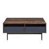 GROOVES COFFEE TABLE 2ΣΥΡΤΑΡΙΑ ΚΑΡΥΔΙ ΓΚΡΙ 110x60x45