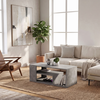 Abdera Living Room Coffee Table Concrete Gray 110x60x42 cm