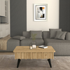 Τραπεζάκι σαλονιού Gemma χρώμα sepet oak 90x59,6x36,8εκ.