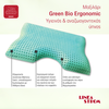 GREEN BIO ERGONOMIC ΜΑΞΙΛΑΡΙ LINEA STROM 55Χ40Χ12