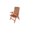 AUSTINE ΠΟΛΥΘΡΟΝΑ TEAK  OIL FINISH 65Χ63Χ108cm