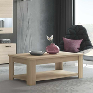 No10 Τραπεζάκι Σαλονιού 120x60xΗ42cm