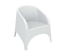 ARUBA WHITE ΠΟΛΥΘΡΟΝΑ ΠΟΛ/ΝΙΟΥ