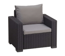 CALIFORNIA ΑΝΘΡΑΚΙ(Σ2)ΠΟΛΥΘΡΟΝΑ ΜΕ ΜΑΞ.