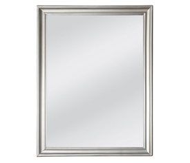 FRAME ΚΑΘΡΕΠΤΗΣ ΑΣΗΜΙ CHAMPAGNE 60x3x80cm