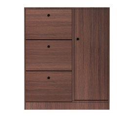 Παπουτσοθήκη Απόχρωση Καρυδί