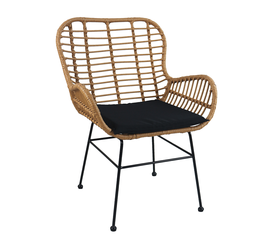 Καρέκλα Κήπου ABUDIUS Φυσικό/Μαύρο Μέταλλο/Rattan 60x60x85cm