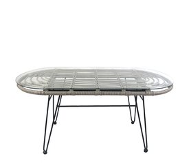 Τραπέζι Κήπου ARRIUS Γκρι/Μαύρο Μέταλλο/Rattan/Γυαλί 100x45x46cm