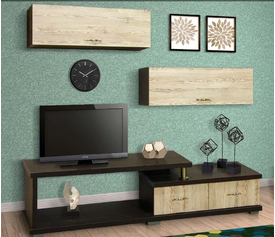 ΣΕΤ ΣΥΝΘΕΣΗ ΕΠΙΠΛΟΥ TV ΒΤΡ-150 ΔΡΥΣ 180Χ40Χ45