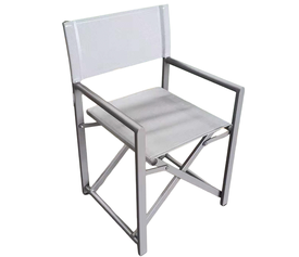 Καρέκλα Σκηνοθέτη TERALLIS Γκρι Ανοιχτό Ύφασμα/Αλουμίνιο 56x48x86cm