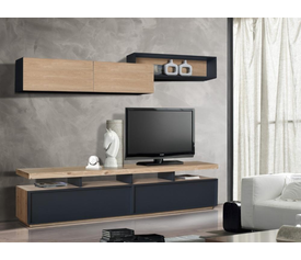 Σύνθεση Σαλονιού Σ16