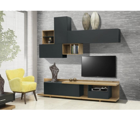 Σύνθεση Σαλονιού Σ17