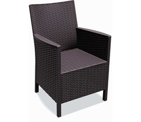 CALIFORNIA BROWN ΠΟΛΥΘΡΟΝΑ ΠΟΛ/ΝΙΟΥ