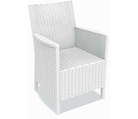 CALIFORNIA WHITE ΠΟΛΥΘΡΟΝΑ ΠΟΛ/ΝΙΟΥ