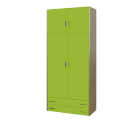 Παιδική ντουλάπα δίφυλλη με πατάρι λαχανί