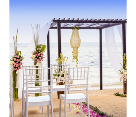 JOSEPHINE WHITE ΚΑΡΕΚΛΑ ΠΟΛ/ΝΙΟΥ