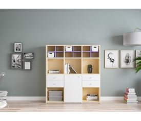 ΣΥΝΘΕΣΗ ΠΑΙΔΙΚΗ ΒΙΒΛΙΟΘΗΚΗ  DALI-COMP3 138*147*33