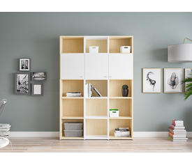 ΣΥΝΘΕΣΗ ΠΑΙΔΙΚΗ ΒΙΒΛΙΟΘΗΚΗ  DALI-COMP6 138*195*33