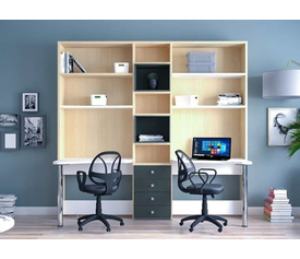 ΣΥΝΘΕΣΗ ΒΙΒΛΙΟΘΗΚΗΣ DALI COMP8 AFS 228Χ195Χ33