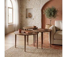 Τραπεζάκι σαλονιού σετ 3 τμχ Nola χρώμα καρυδί Ø60x46εκ.