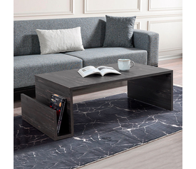 Τραπεζάκι σαλονιού Regnar χρώμα rebab 100,6x55x31,8εκ.