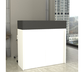 Γραφείο υποδοχής - reception Wilko με LED χρώμα λευκό - ανθρακί 113,6x42x110εκ.