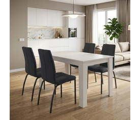 Σετ τραπεζαρία 5τμχ Darlen - Fina χρώμα λευκό - ανθρακί 125x72x74εκ.