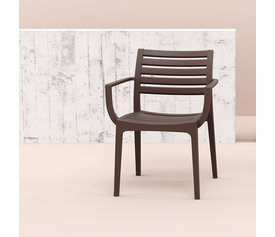 ARTEMIS BROWN ΠΟΛΥΘΡΟΝΑ ΠΟΛ/ΝΙΟΥ