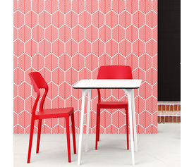 SNOW RED ΚΑΡΕΚΛΑ ΠΟΛ/ΝΙΟΥ