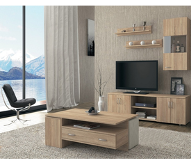 ΣΕΤ ΣΥΝΘΕΣΗ  ΜΕΔΟΥΣΑ ΑΠΟ ΔΡΥΣ 180χ50χ40εκ.