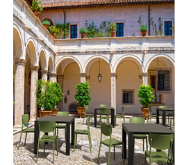 MONNA OLIVE GREEN ΚΑΡΕΚΛΑ ΠΟΛ/ΝΙΟΥ