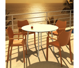 DIVA ORANGE(Σ22)ΠΟΛΥΘΡΟΝΑ ΠΟΛ/ΝΙΟΥ