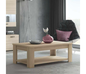 No10 Τραπεζάκι Σαλονιού 120x60xΗ42cm