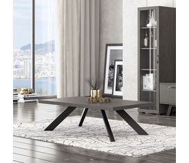 No14 Τραπεζάκι Σαλονιού 120x70xH42cm