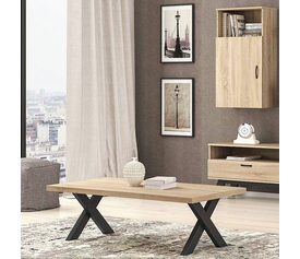 No15 Τραπεζάκι Σαλονιού 120x70xΗ42cm