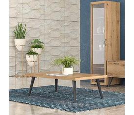 No20 Τραπεζάκι Σαλονιού 120x70xH43cm