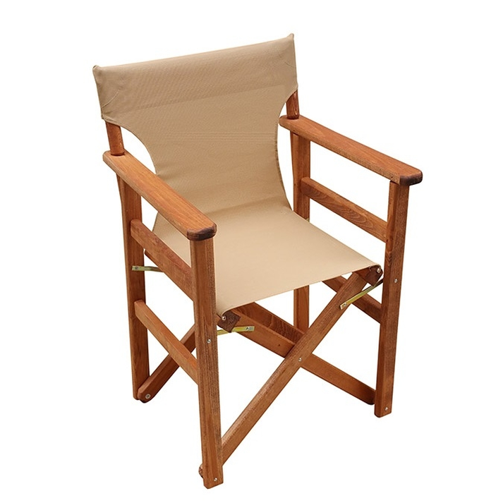 Πτυσσόμενη Πολυθρόνα Σκηνοθέτη Οξιά / Διάτρητο PVC 57.5x51xH87.5cm (13 Χρώματα)