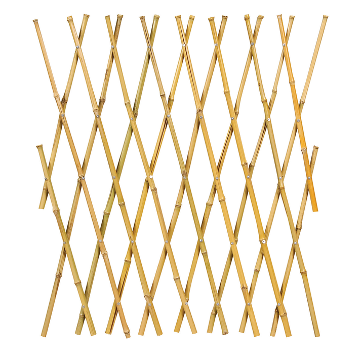 Πτυσσόμενος Φράκτης Μπαμπού 100(h) x 100cm , Ø 16-18mm