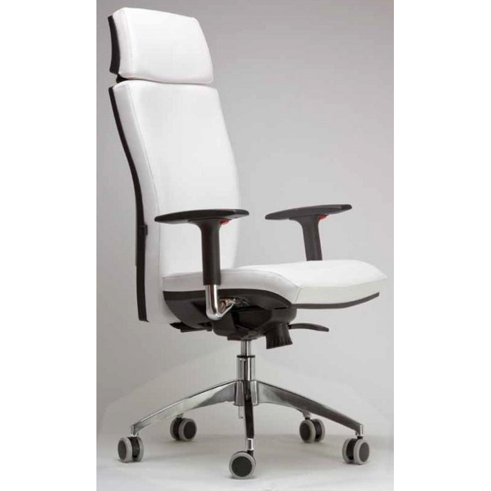 ΚΑΡΕΚΛΑ ΓΡΑΦΕΙΟΥ ΕΛΛΗΝΙΚΗΣ ΚΑΤΑΣΚΕΥΗΣ  APOLLO 52*52*112/122