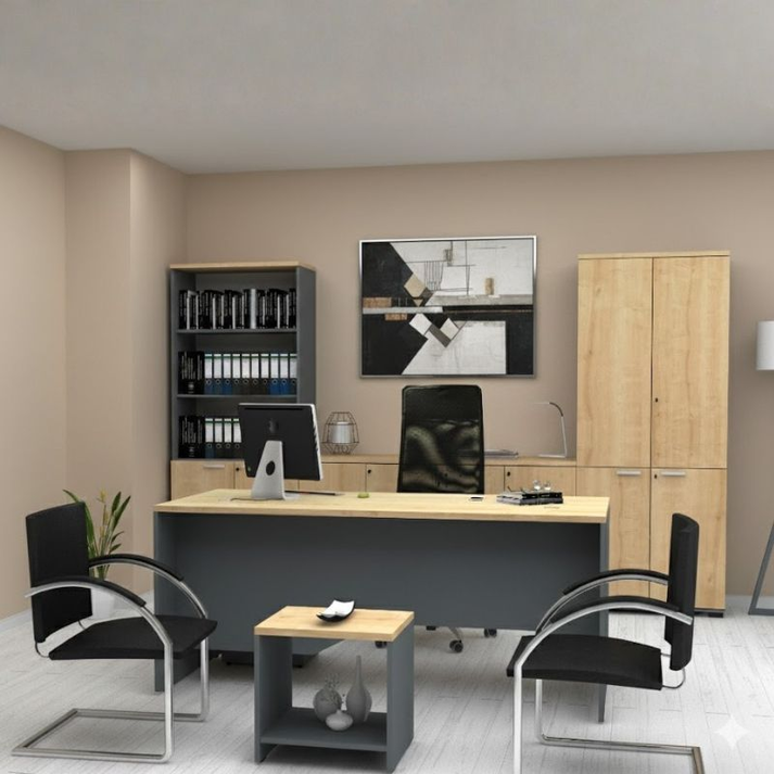 Ντουλάπα γραφείου επαγγελματική Venturo χρώμα ανθρακί - φυσικό οξιάς 80x40x200εκ.