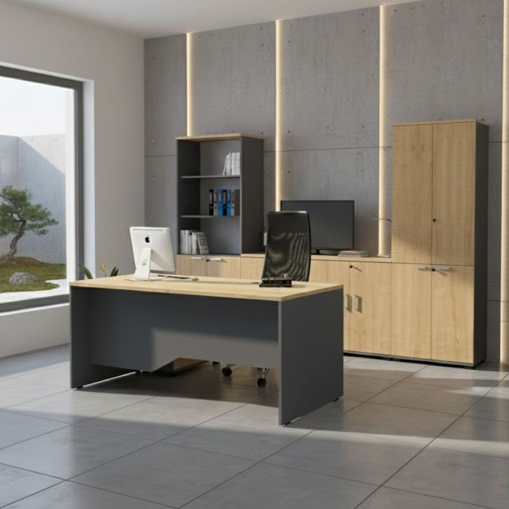 Ντουλάπα γραφείου επαγγελματική Venturo χρώμα ανθρακί - φυσικό οξιάς 80x40x200εκ.