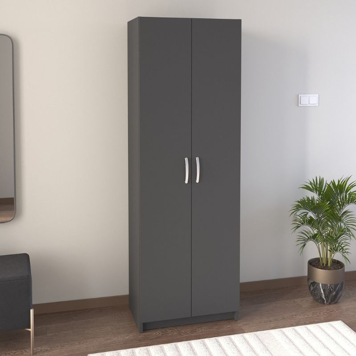 Παπουτσοθήκη Renso δίφυλλη χρώμα ανθρακί 59,8x37,8x178,5εκ.