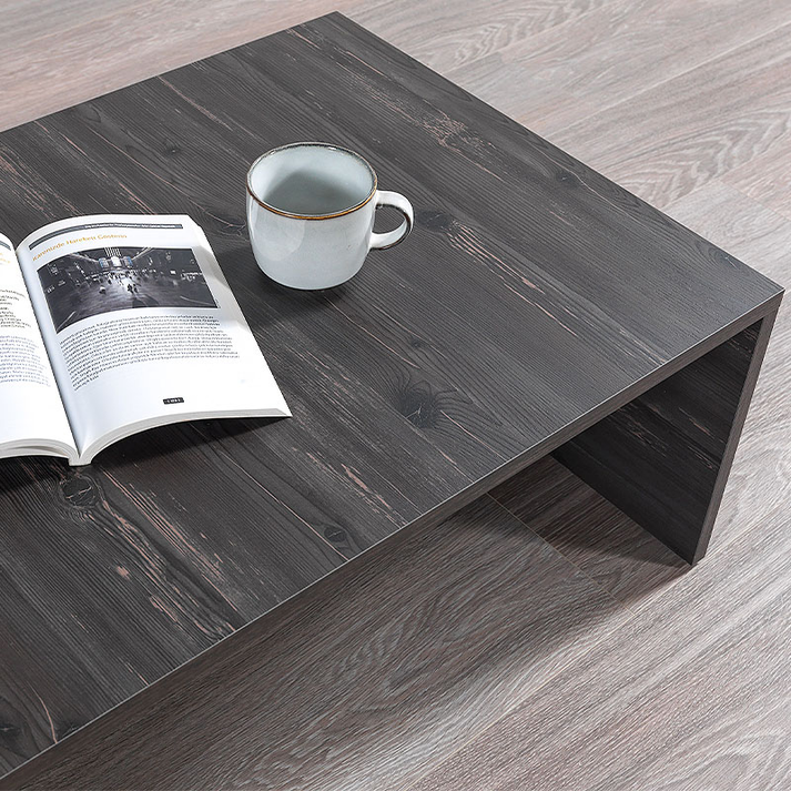 Τραπεζάκι σαλονιού Regnar χρώμα rebab 100,6x55x31,8εκ.